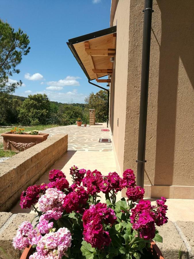 Sonnellino In Maremma Villa Massa Marittima Eksteriør bilde