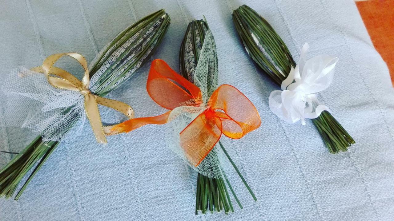 Sonnellino In Maremma Villa Massa Marittima Eksteriør bilde