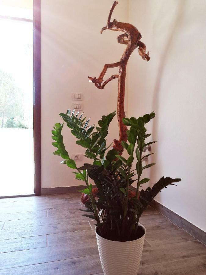 Sonnellino In Maremma Villa Massa Marittima Eksteriør bilde